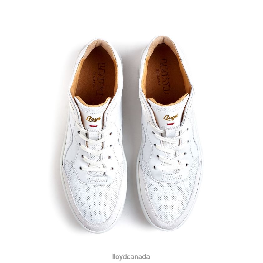 SMOOTH LEATHER SNEAKERS LLOYD Women white R084ZF756 Shoes