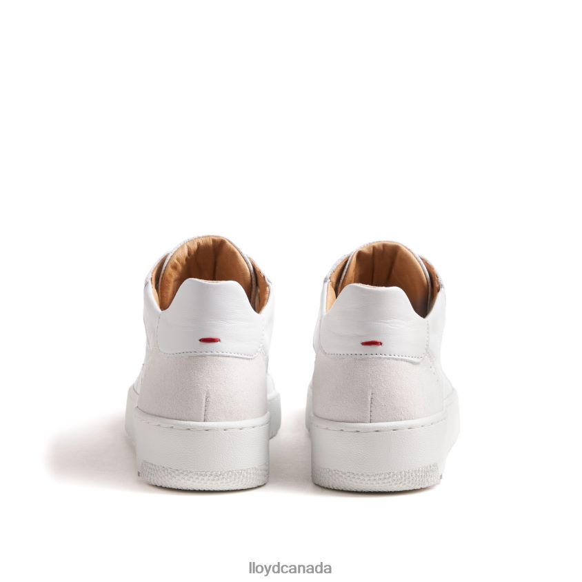 SMOOTH LEATHER SNEAKERS LLOYD Women white R084ZF756 Shoes