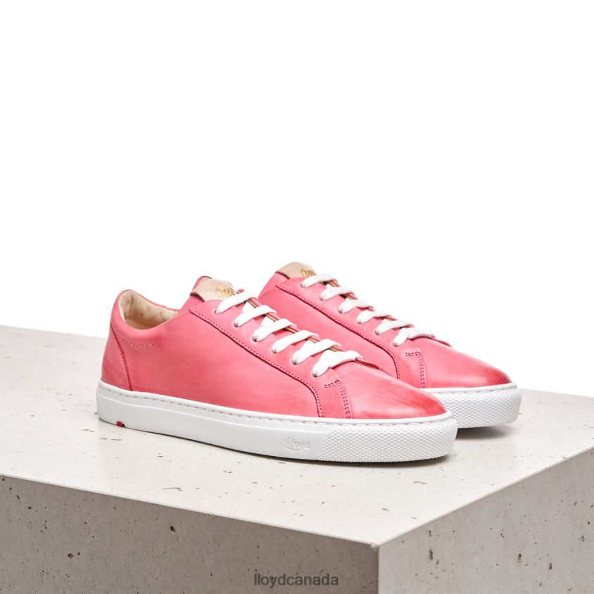 SMOOTH LEATHER SPOPTY SNEAKERS LLOYD Women pink R084ZF842 Shoes