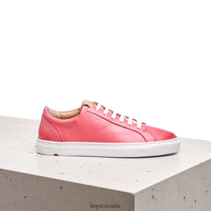SMOOTH LEATHER SPOPTY SNEAKERS LLOYD Women pink R084ZF842 Shoes
