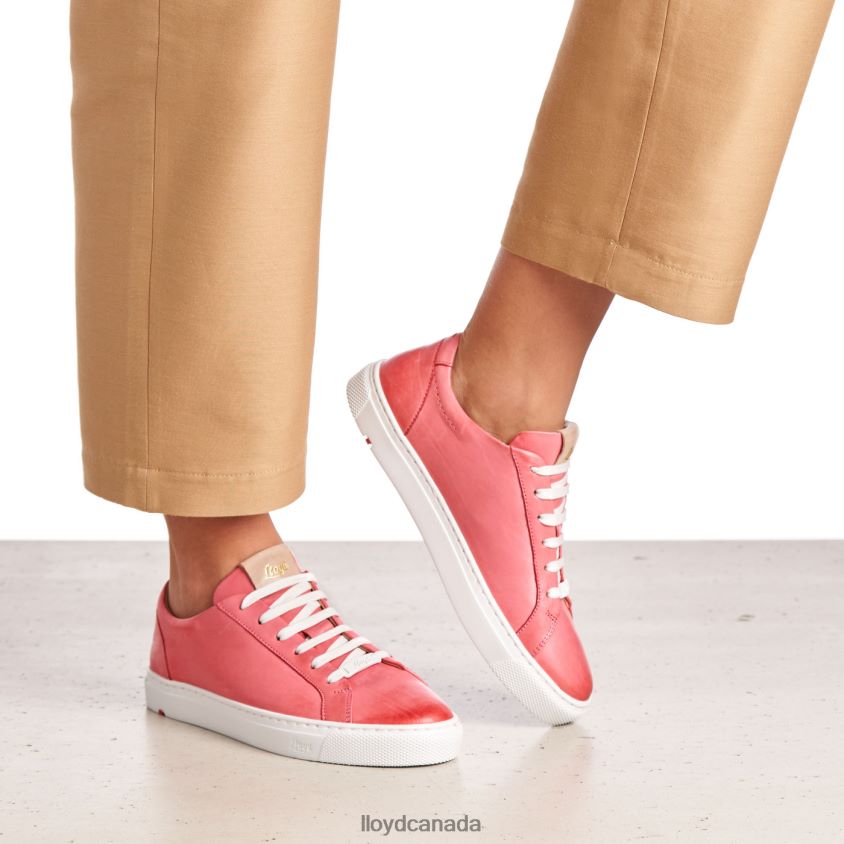 SMOOTH LEATHER SPOPTY SNEAKERS LLOYD Women pink R084ZF842 Shoes