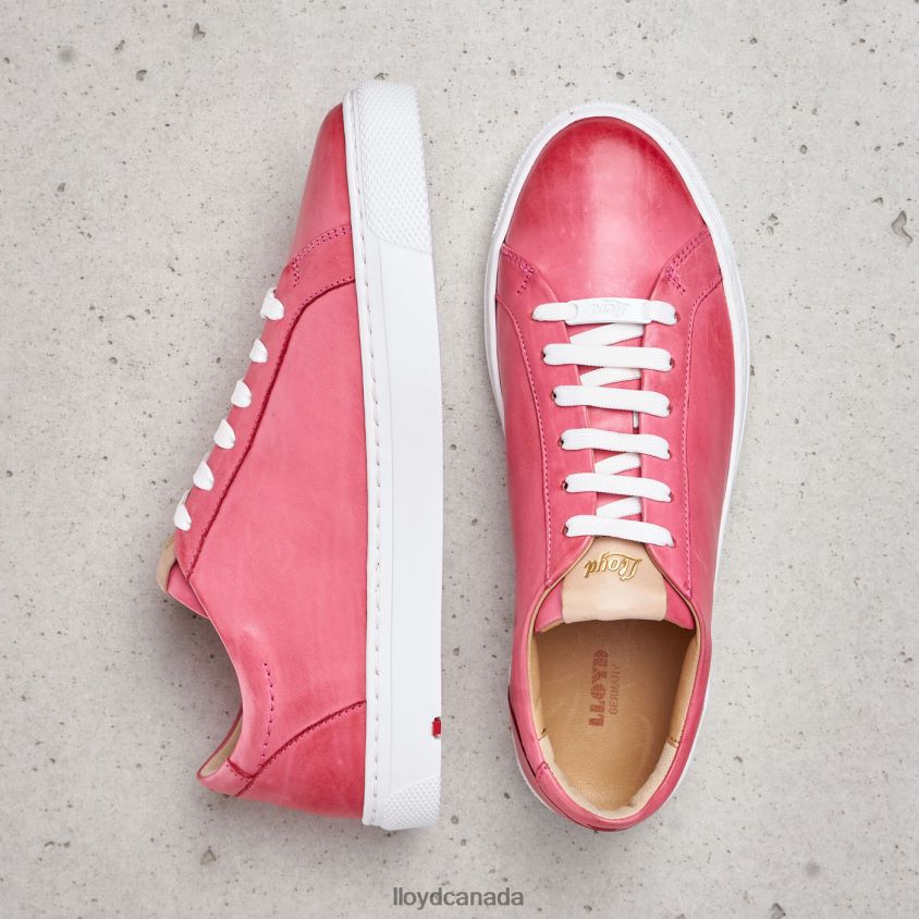SMOOTH LEATHER SPOPTY SNEAKERS LLOYD Women pink R084ZF842 Shoes