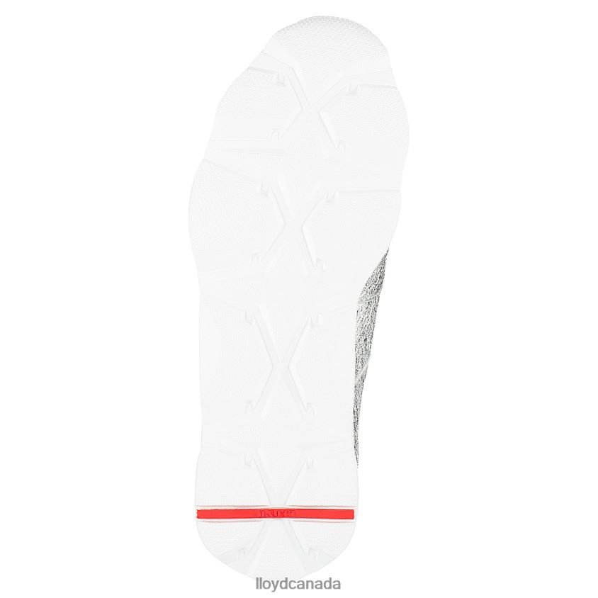 SNEAKERS LLOYD Women silver R084ZF867 Shoes
