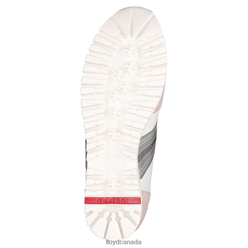 SNEAKERS LLOYD Women white R084ZF848 Shoes