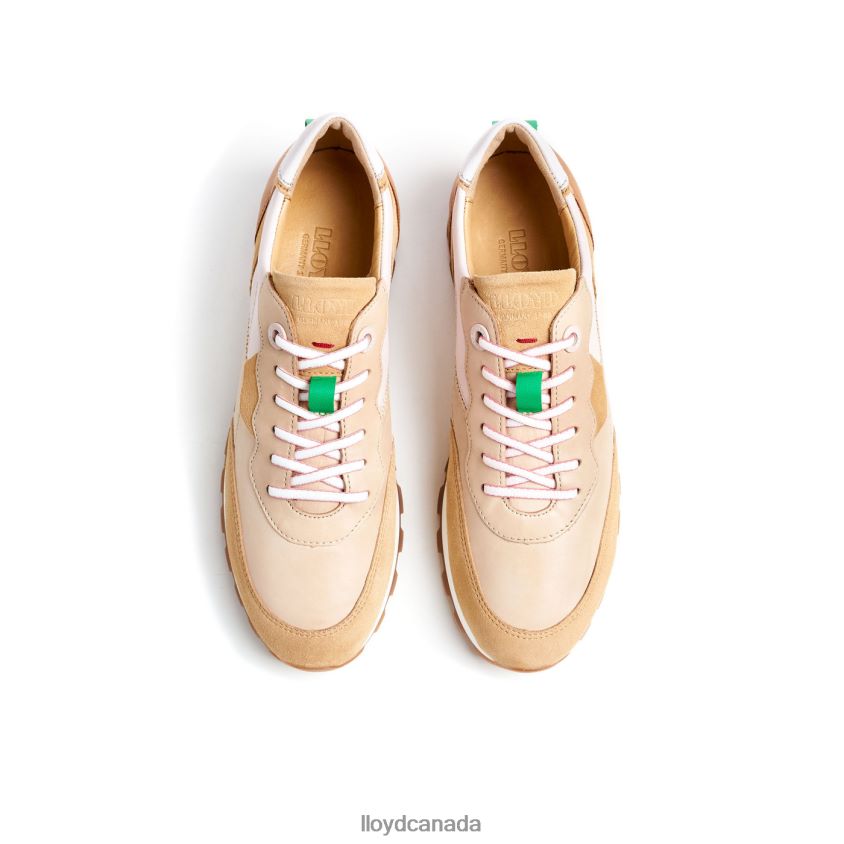 SNEAKER LLOYD Women brown R084ZF775 Shoes