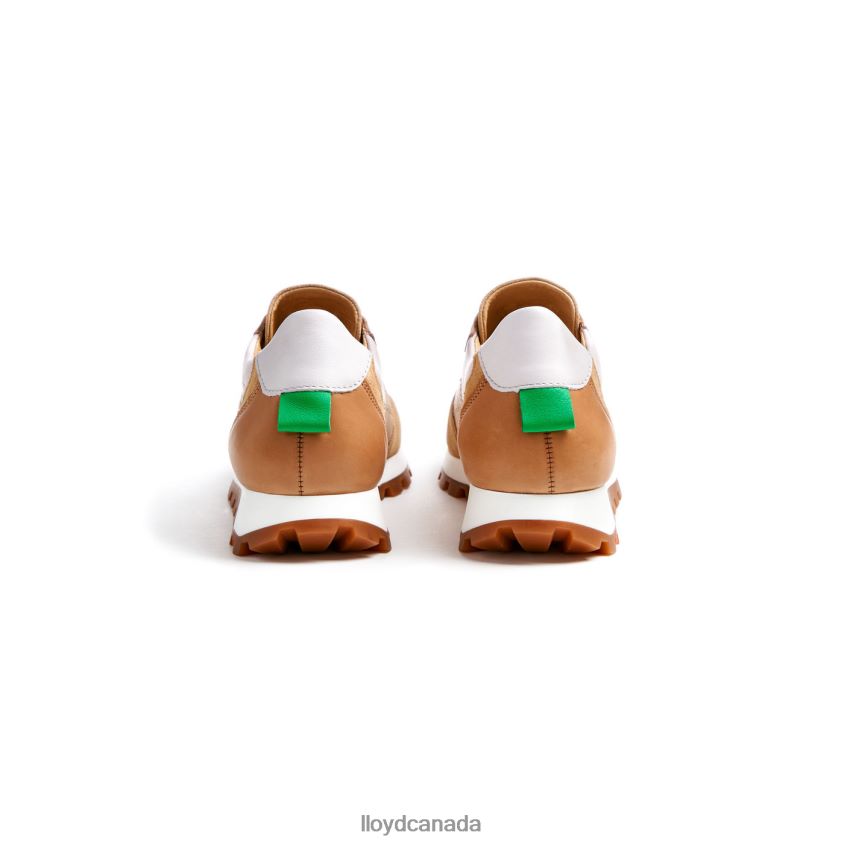 SNEAKER LLOYD Women brown R084ZF775 Shoes