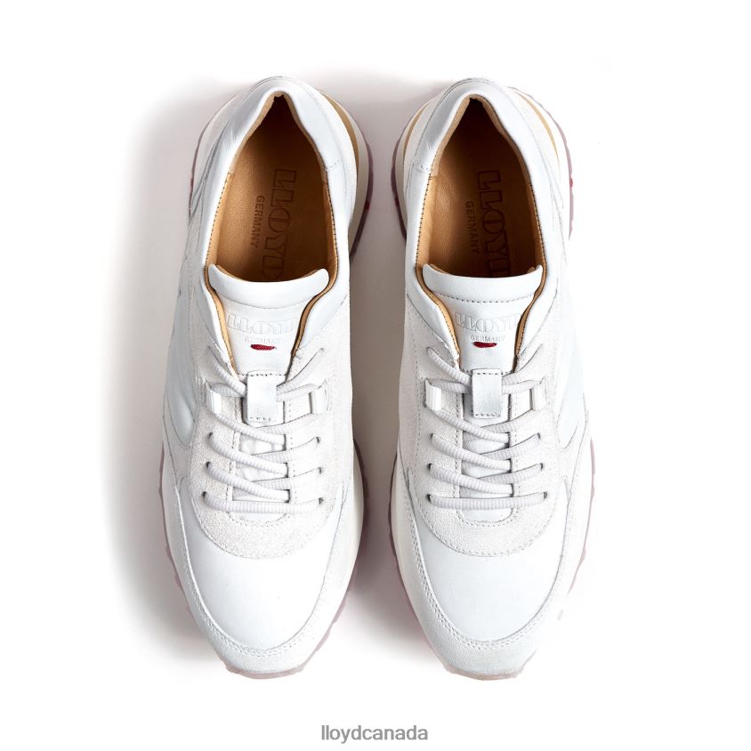 SNEAKER LLOYD Women white R084ZF1355 Shoes