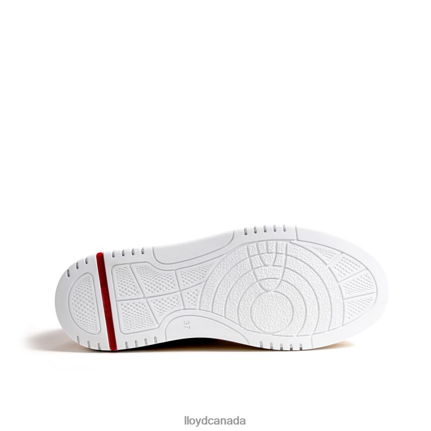 SNEAKER LLOYD Women white R084ZF764 Shoes