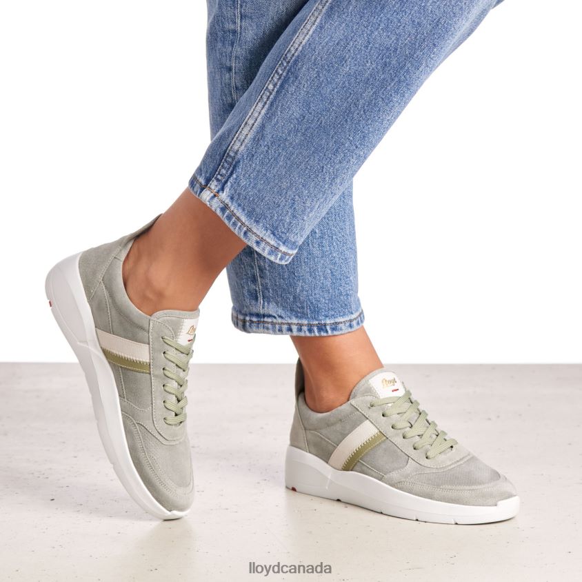 SPOPTY SMOOTH LEATHER SNEAKERS LLOYD Women green R084ZF809 Shoes