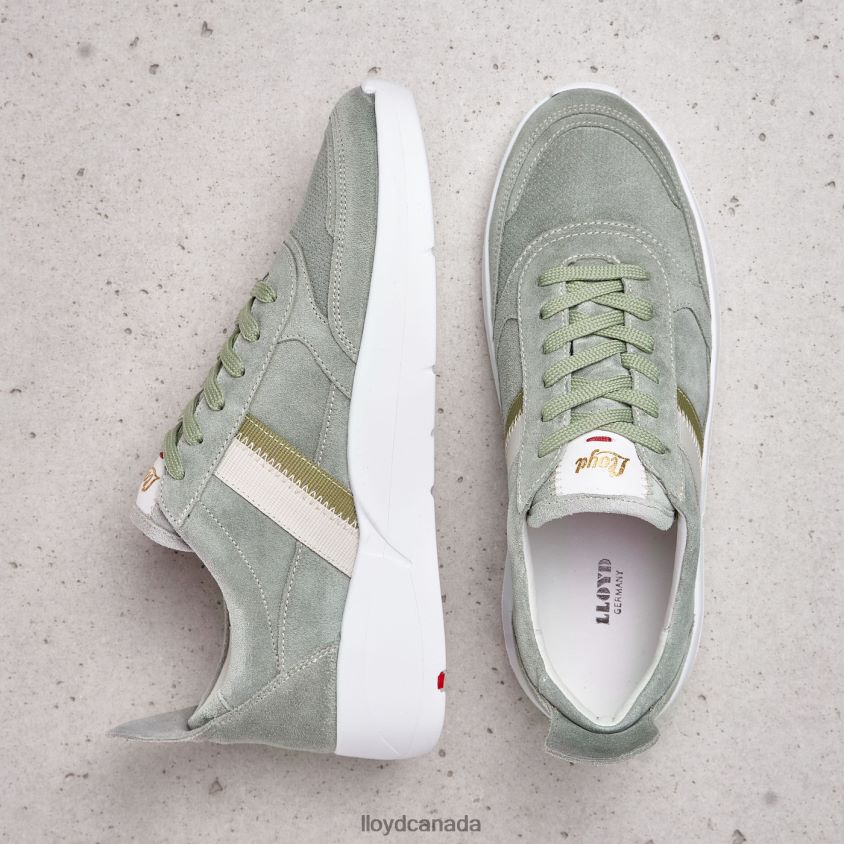 SPOPTY SMOOTH LEATHER SNEAKERS LLOYD Women green R084ZF809 Shoes