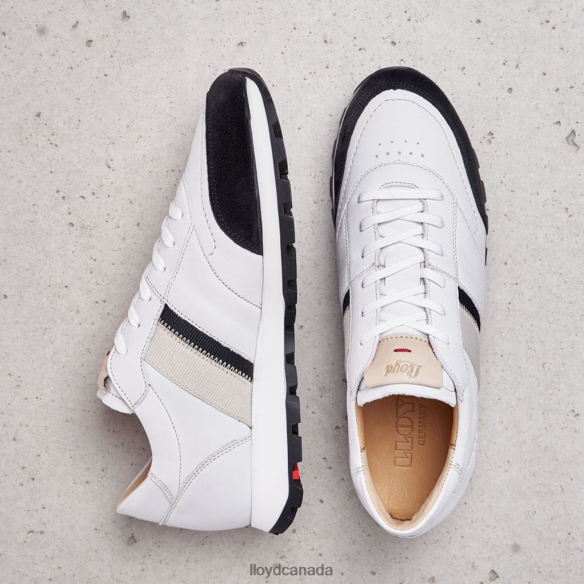 SPOPTY SMOOTH LEATHER SNEAKERS LLOYD Women white R084ZF828 Shoes