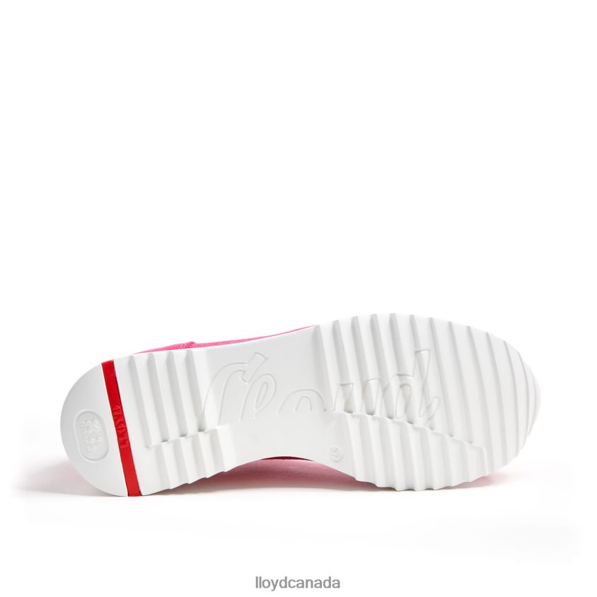 SPORTY LOOK SNEAKER LLOYD Women pink R084ZF843 Shoes