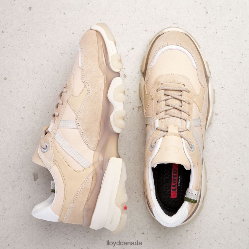 SUEDE SNEAKERS LLOYD Women beige R084ZF779 Shoes