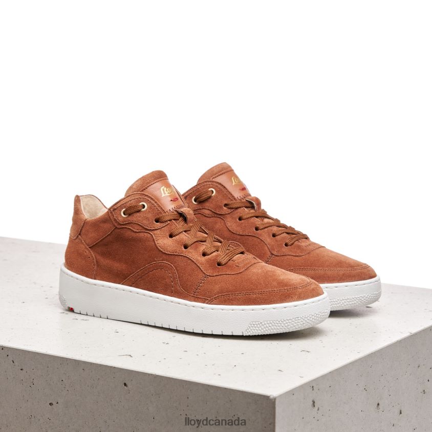 SUEDE SNEAKERS LLOYD Women brown R084ZF819 Shoes