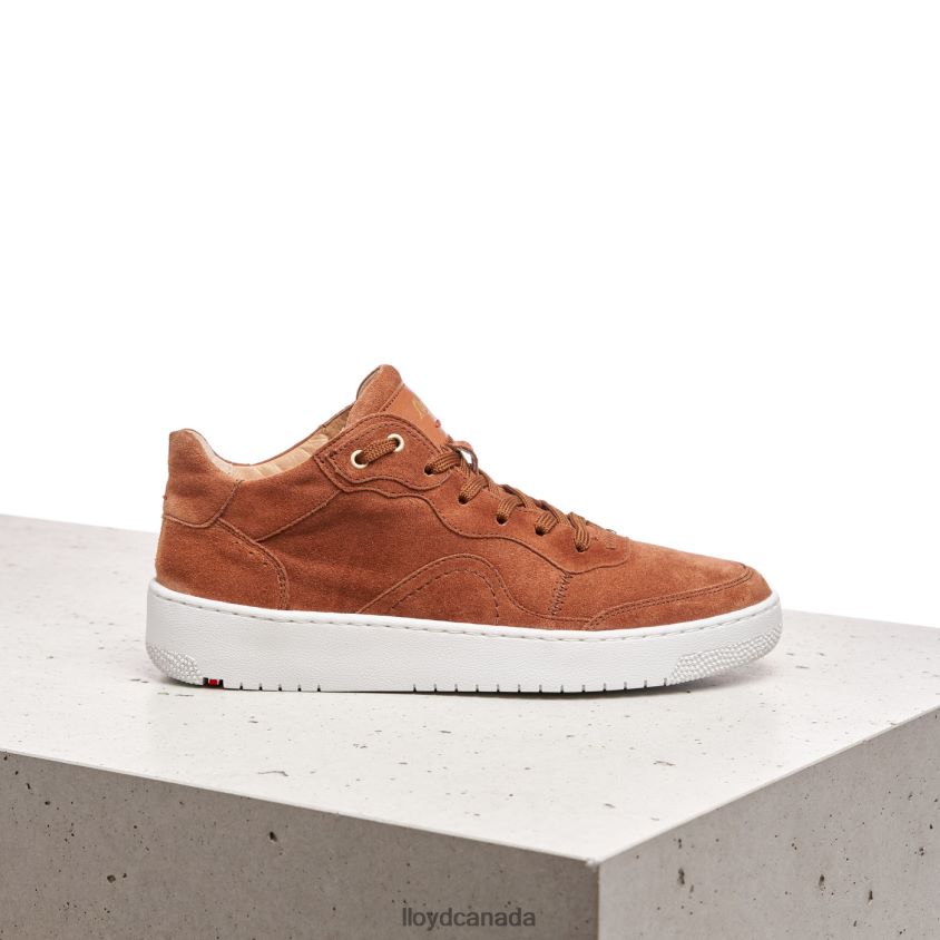 SUEDE SNEAKERS LLOYD Women brown R084ZF819 Shoes