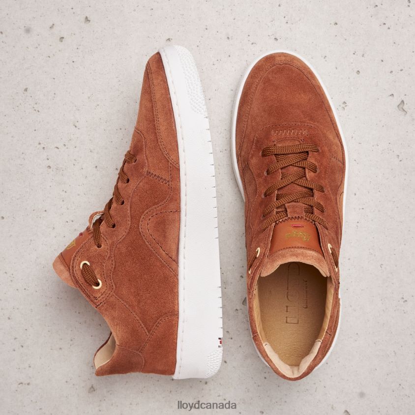 SUEDE SNEAKERS LLOYD Women brown R084ZF819 Shoes
