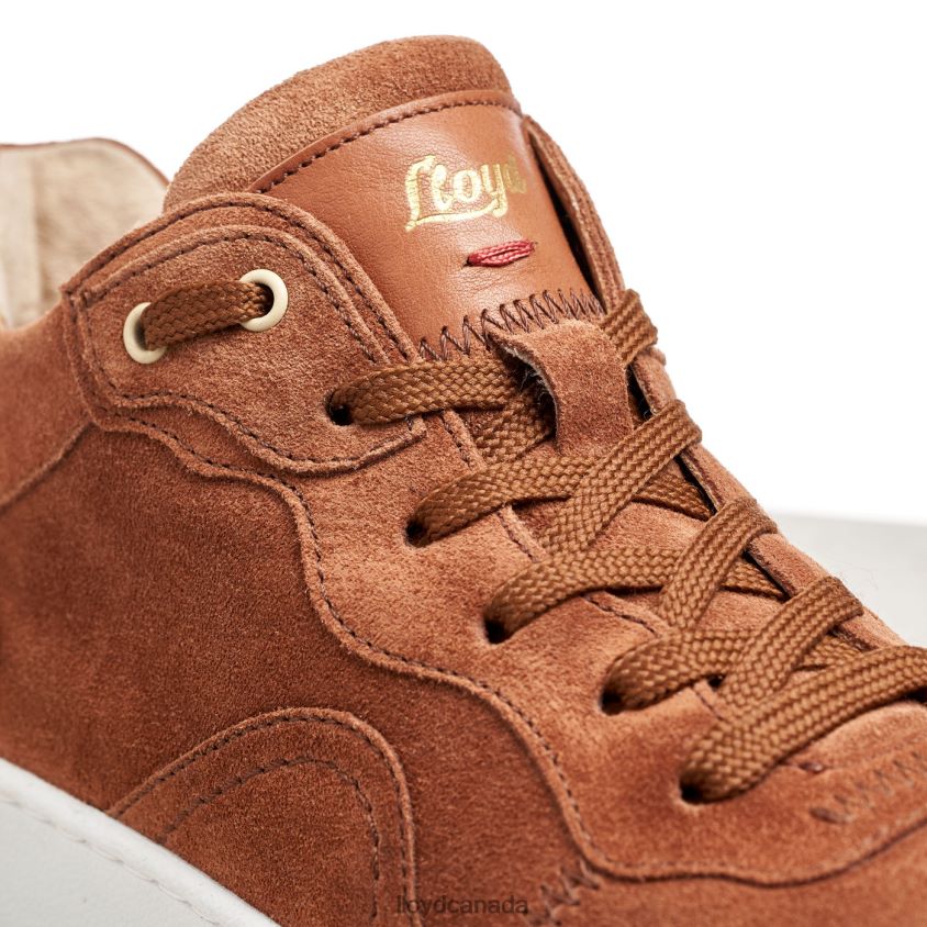SUEDE SNEAKERS LLOYD Women brown R084ZF819 Shoes