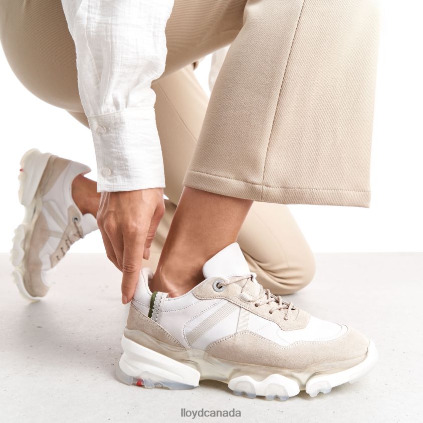 SUEDE SNEAKERS LLOYD Women white R084ZF816 Shoes