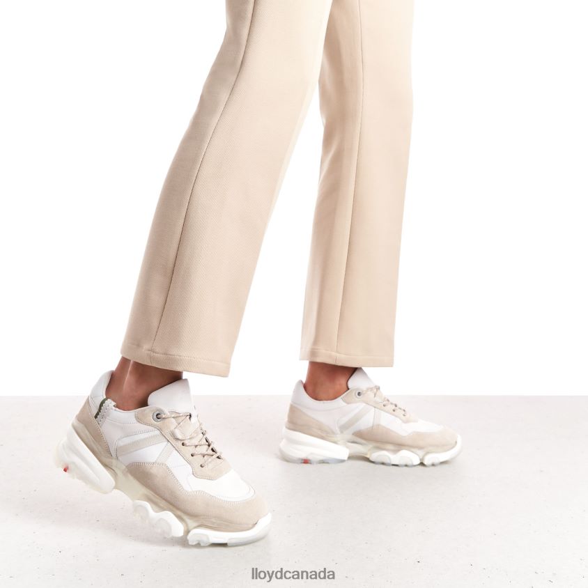 SUEDE SNEAKERS LLOYD Women white R084ZF816 Shoes