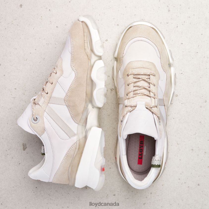 SUEDE SNEAKERS LLOYD Women white R084ZF816 Shoes