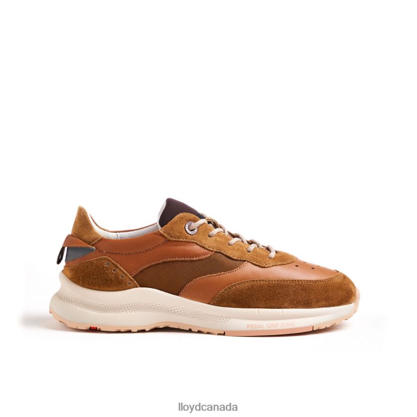 VELO 2 LLOYD Women brown R084ZF796 Shoes