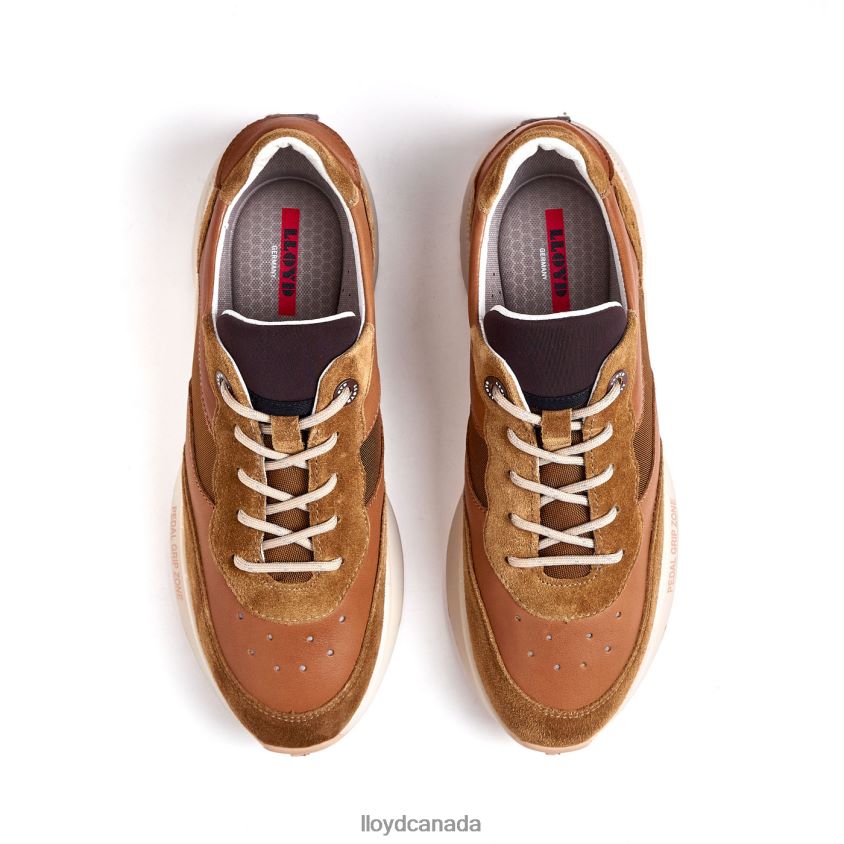 VELO 2 LLOYD Women brown R084ZF796 Shoes